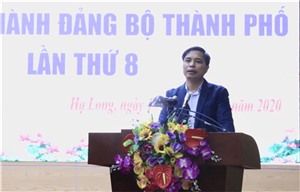 Ngày làm việc thứ hai Hội nghị BCH Đảng bộ thành phố lần thứ 8