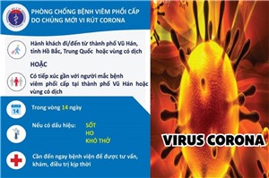 Hạ Long: Chưa ghi nhận trường hợp nào mắc viêm hô hấp do virus Corona