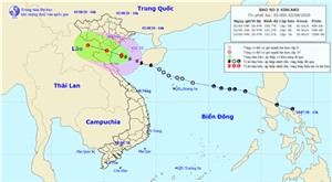 Chủ động các biện pháp phòng, chống áp thấp nhiệt đới trên địa bàn thành phố Hạ Long