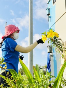 “Dấu ấn Tuổi Trẻ Hạ Long Văn Minh - Kiểu Mẫu” 